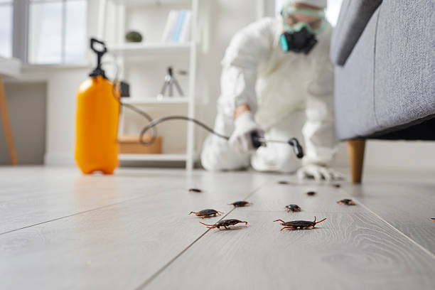 Commercial Kitchen Cockroach Control in Oneida
